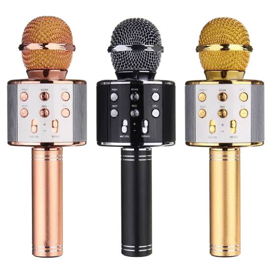 Bluetooth Woofer Mic WS-858