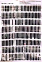 [MDREMOTE-25] LED LCD Universal TV Remote HYAOU RM-L1388 RM-014S++