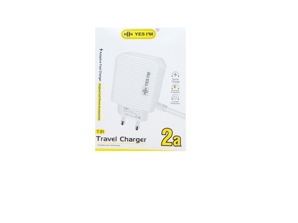 [C1C1M1HH-3] Travel Charger HH T-01 