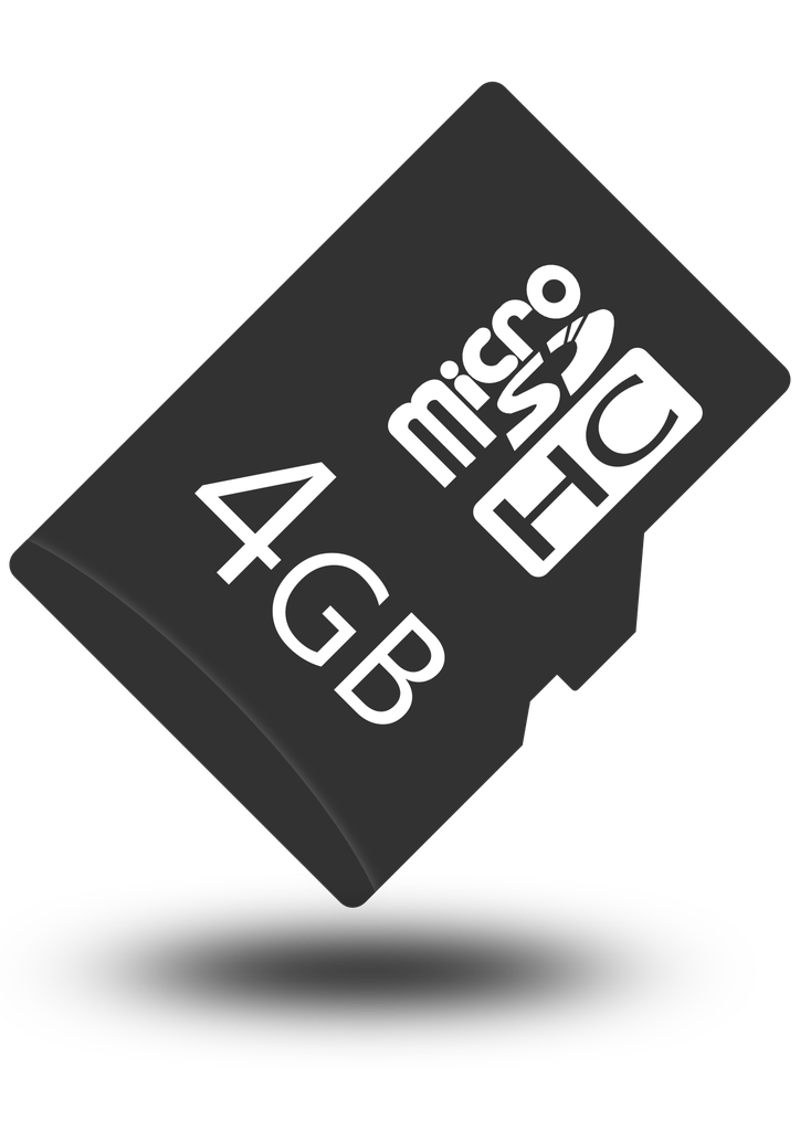 Micro Memory card SD 4GB