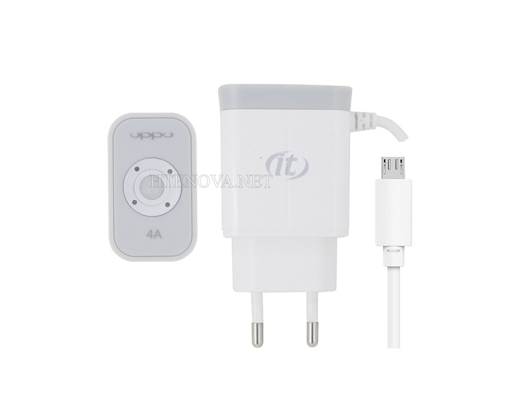 [C1C2M1iT-1] Micro Charger with 1 Extra USB Port IT-310