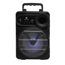 [MD2LM4B-57] Bluetooth MP3 Player Speaker KTS-1512