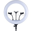 [SL17iN-3] Studio lamp with colour full Ring light PK-460