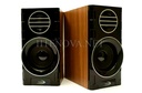[MDS21LM3-53] Bluetooth Multimedia Computer Speaker FT-2031