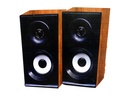 [MDS21LM10C-1] Bluetooth Multimedia Computer Speaker FT-2032