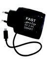 [C1C1M1LM-40] MICRO CHARGER AMIO 2.4A 