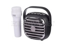[MD2LM6A-11] Bluetooth MP3 Player Speaker 3" WITH MIC KTS-1943