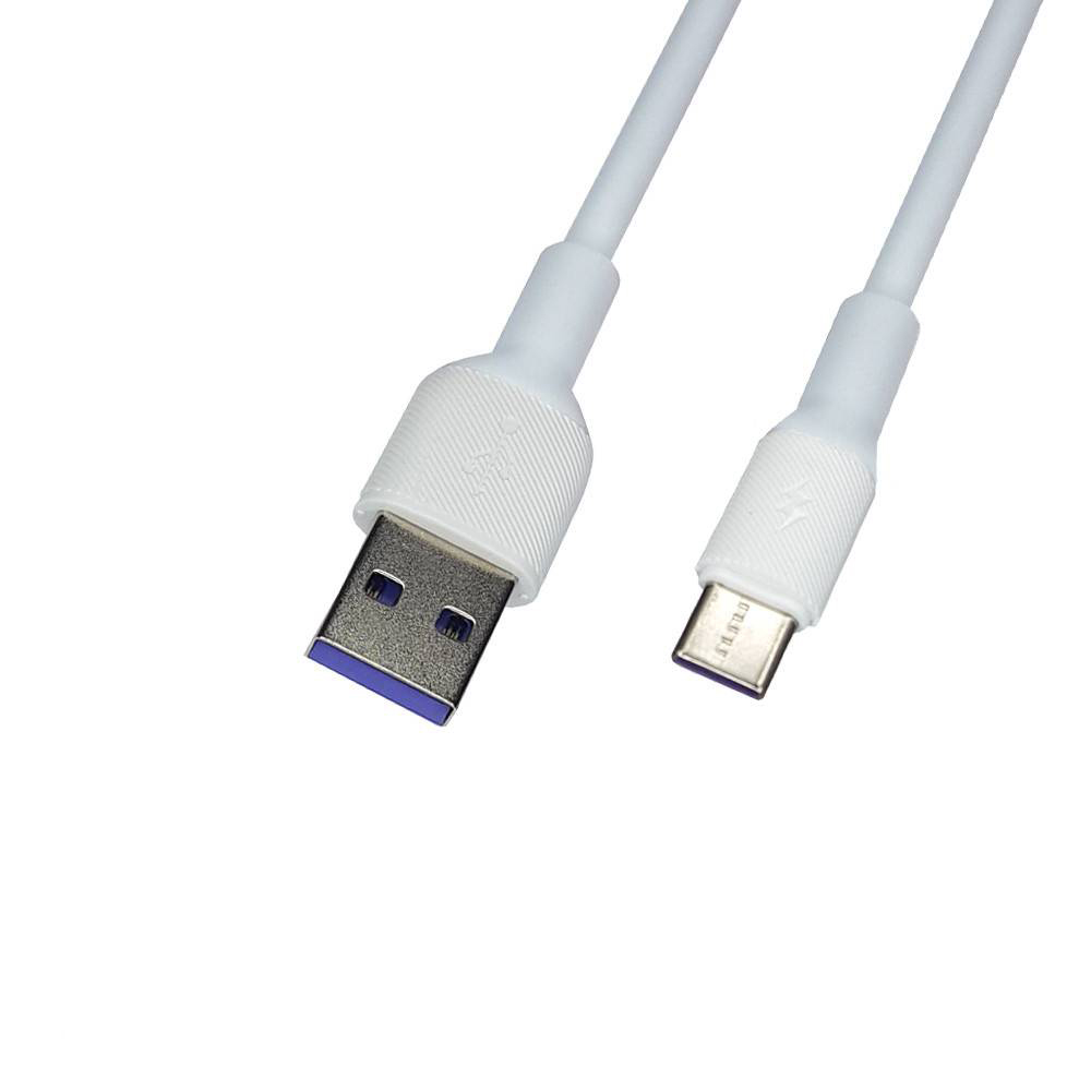 [DCT1S1-2] TYPE-C CABLE MINI