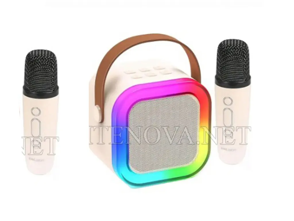 [MD2LM6A-16] [MD2LM6A-16] Wireless Karaoke Speaker With 2 Mic K12