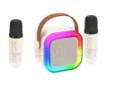 [MD2LM6A-16] Wireless Karaoke Speaker With 2 Mic K12