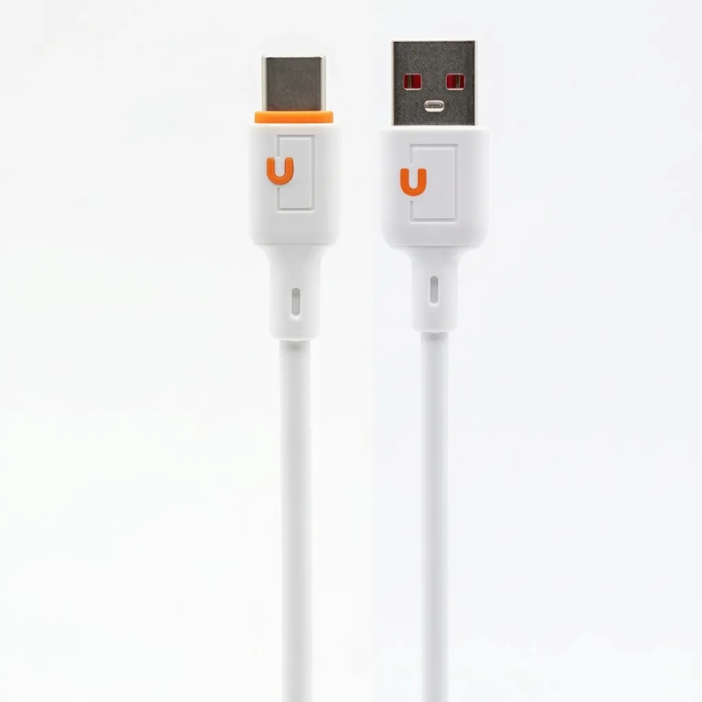 [DCT3S1-110] [DCT3S1-110] TYPE C DATA CHARGING CABLE