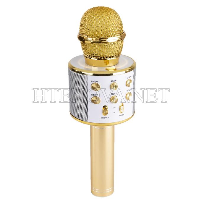 MP3 Player Bluetooth Mic WS-858