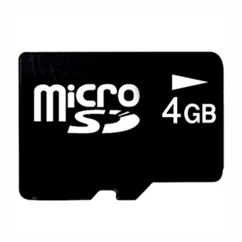 4GB Memory Card Loose