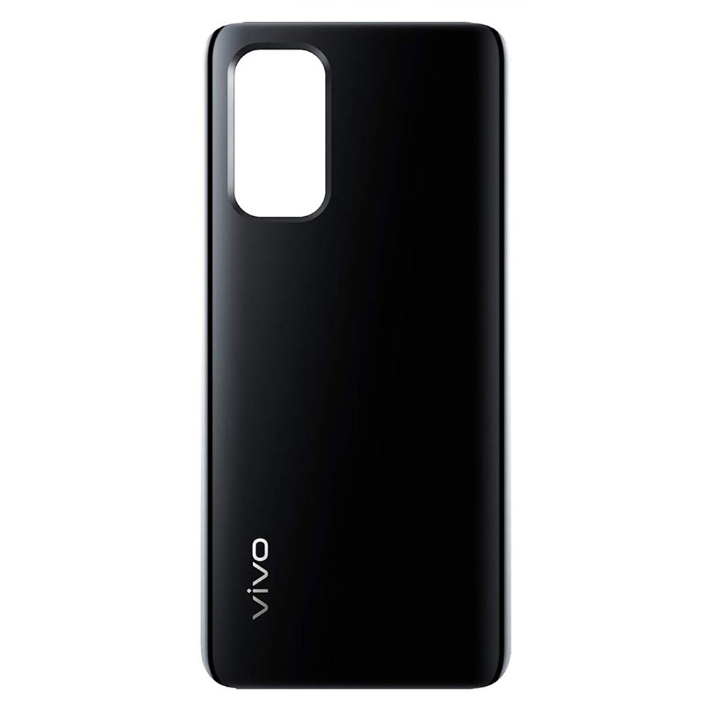 Vivo V(19) Only Back