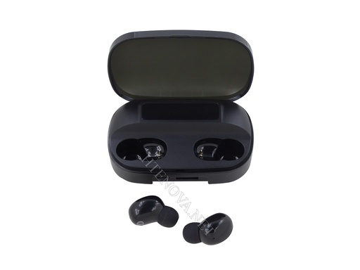 [HFB5LM8-99] True Wireless Sports Earbuds with Charging Case TG-16