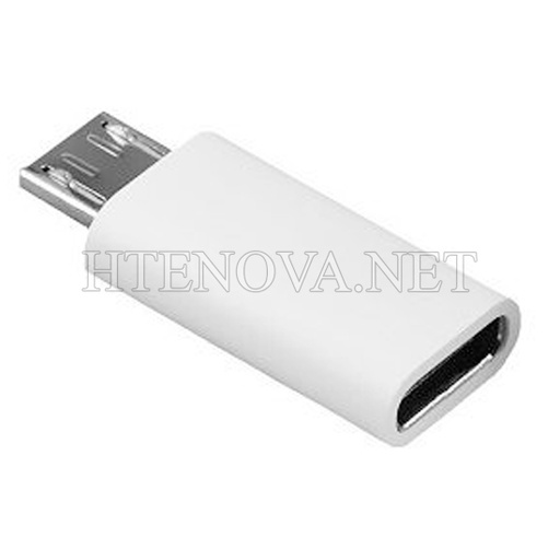 [DCM0T-2] Micro To Type-C Connector