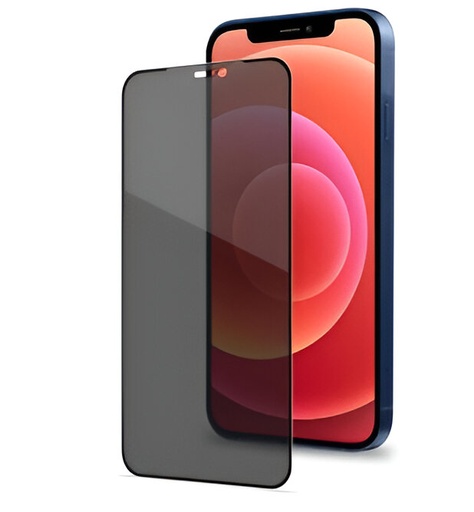 [PL13iPXR-9-2]  iPhone XR Privacy Glass 