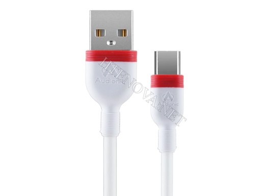 [DCT3SAD-1] Type-C Data Charging Cable Audionic Roger RO-33T