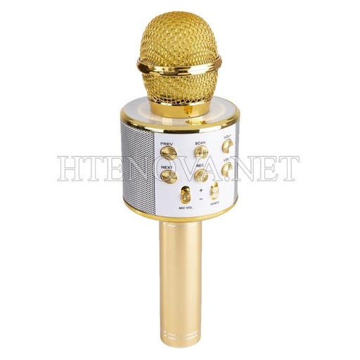 [MD2LM6A-1] MP3 Player Bluetooth Mic WS-858