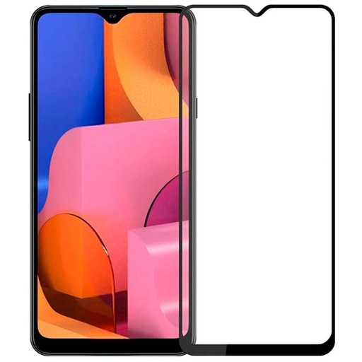 [PL6SA20S-6-2] Samsung A20S G Rhino Color Glass